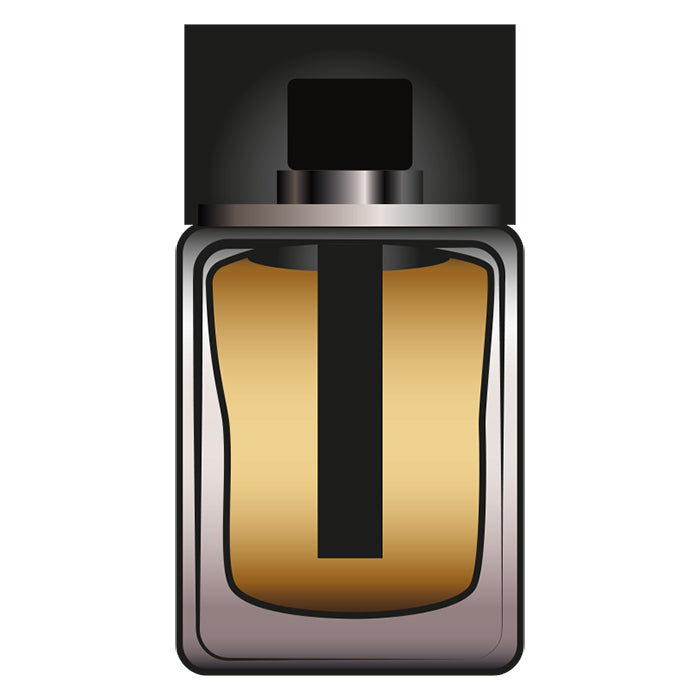 Dior's Homme Intense 2011 Atomizer 10ml