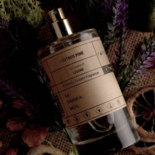 Our Creation of Mont Blanc's Legend