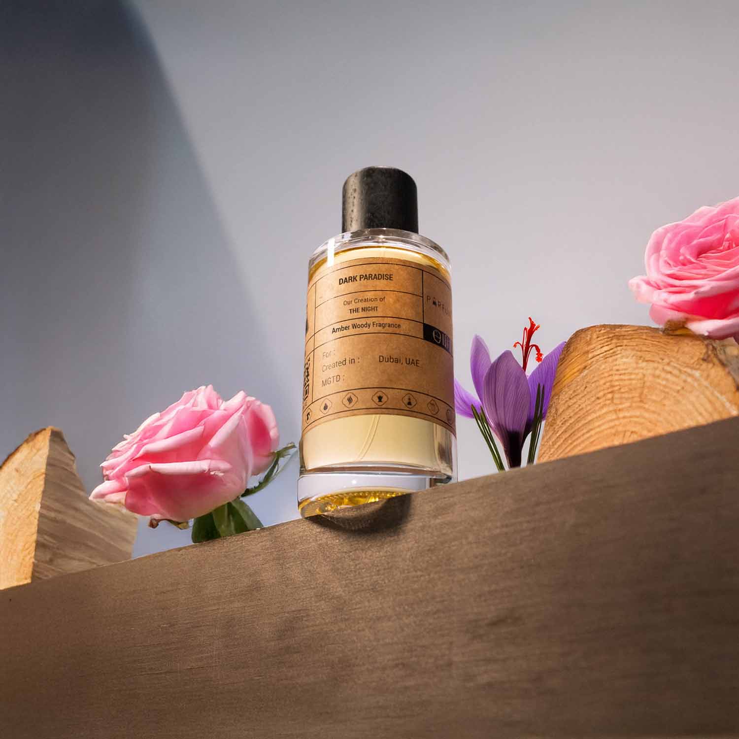 Our Creation of Frederic Malle's The Night