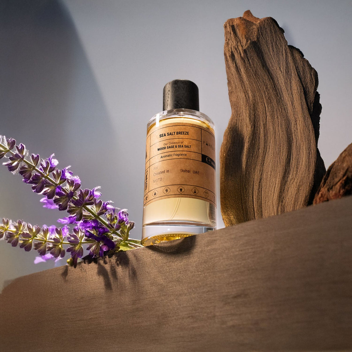 مستوحى من عطر جو مالون لوندون ووود ساجي & سيا سالت
